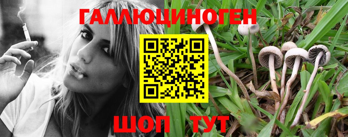 Галлюциногенные грибы ЛСД  Псилоцибиновые грибы Magic Shrooms  Вход с VPN  Чайковский 